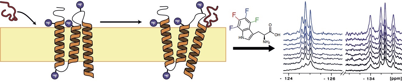 TOC fig